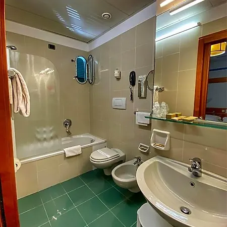 فندق ريجينا إيلينا ديبنداس 4*